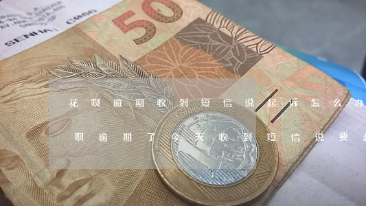 花呗逾期收到短信说起诉怎么办-借呗跟花呗逾期了今天收到短信说要起诉我