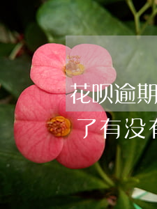 花呗逾期无法使用会怎样(花呗逾期不可使用了有没有什么办法解决)