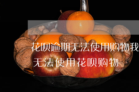 花呗逾期无法使用购物(我花呗没有逾期但是无法使用花呗购物)