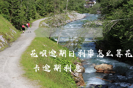 花呗逾期日利率怎么算(花呗逾期利息和信用卡逾期利息)