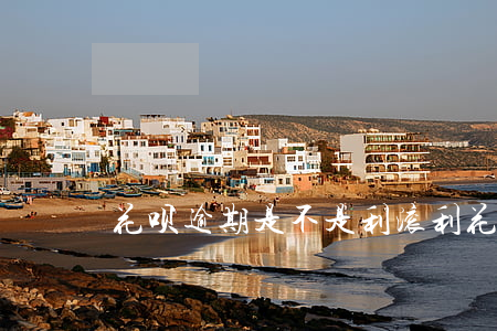 花呗逾期是不是利滚利(花呗利滚利吗)