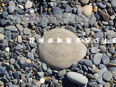 花呗逾期是不是还上就可以用了-