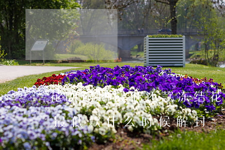 花呗逾期最低还款冻结(花呗逾期冻结了,还了最低款,什么时候解封)