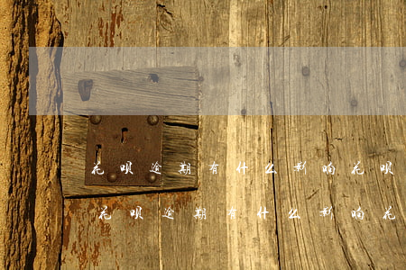 花呗逾期有什么影响?花呗逾期多久上征信-花呗逾期有什么影响花呗逾期多久上征信