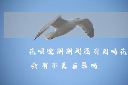 花呗逾期期间还有用吗(花呗逾期了几个小时会有不良后果吗)