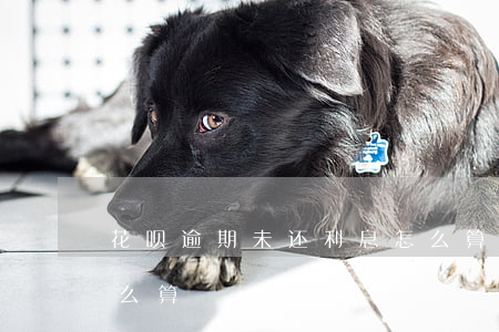 花呗逾期未还利息怎么算(花呗未还款利息怎么算)