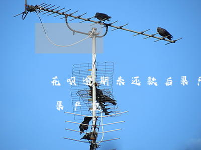 花呗逾期未还款后果严重(花呗逾期未还款后果严重)