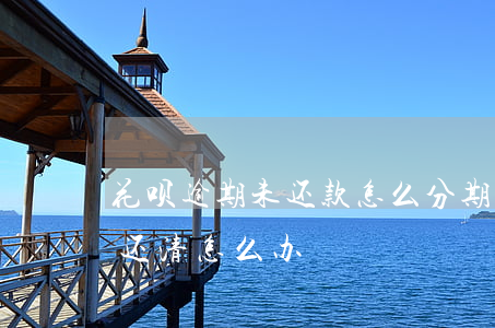 花呗逾期未还款怎么分期(花呗分期到期了没还清怎么办)