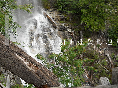 花呗逾期未还款的图片(花呗未还款图片1月)