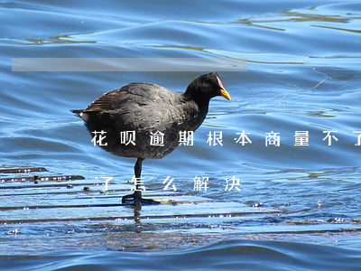 花呗逾期根本商量不了(花呗逾期根本商量不了怎么解决)