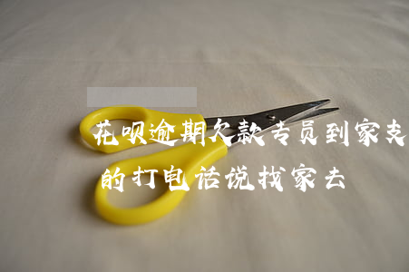 花呗逾期欠款专员到家(支付宝花呗逾期催收的打电话说找家去)
