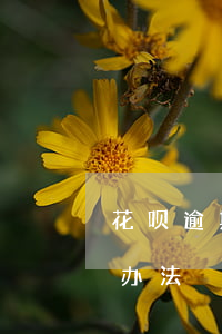 花呗逾期欠款未还却显示已还清，原因及解决办法