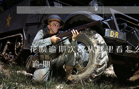 花呗逾期次数从哪里看(怎么看花呗有没有过逾期)