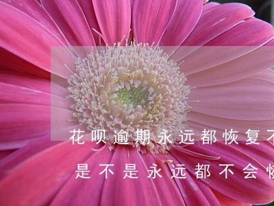 花呗逾期永远都恢复不了(花呗逾期3个多月是不是永远都不会恢复了)