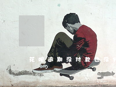 花呗逾期没付款也没分期(无法花呗分期付款)