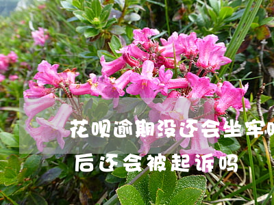 花呗逾期没还会坐牢吗(花呗逾期要起诉,还清后还会被起诉吗)