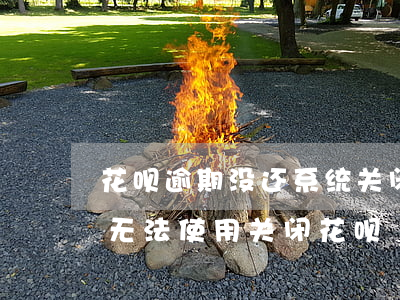 花呗逾期没还系统关闭(逾期花呗还清后额度无法使用关闭花呗)