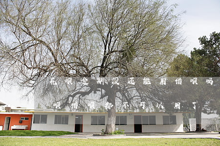 花呗逾期没还能用借呗吗(为什么没有逾期花呗借呗都不可以用了)