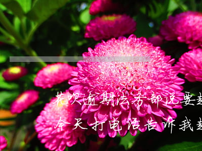 花呗逾期法务部说要起诉(花呗逾期1500今天打电话告诉我起诉我)
