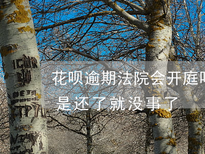 花呗逾期法院会开庭吗(花呗逾期被起诉,是不是还了就没事了)