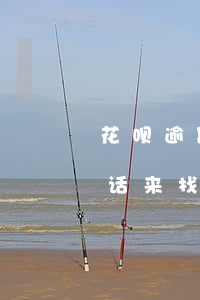 花呗逾期派出所找联系人(别人花呗逾期打电话来找我怎么回事?)