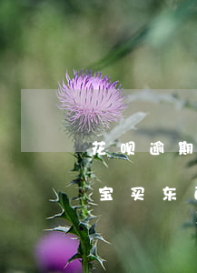 花呗逾期淘宝购物扣钱吗(花呗逾期可以在淘宝买东西不被扣款嘛)
