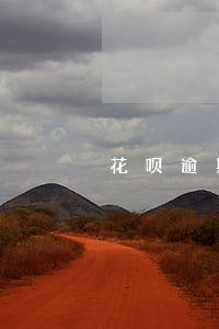 花呗逾期生成器无水印(逾期花呗的图片)