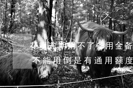 花呗逾期用不了备用金(备用金逾期导致花呗不能用倒是有通用额度)