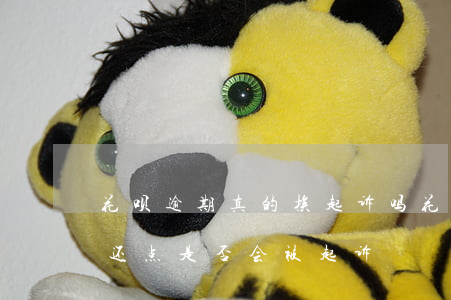 花呗逾期真的挨起诉吗(花呗逾期了每个月都还点是否会被起诉)