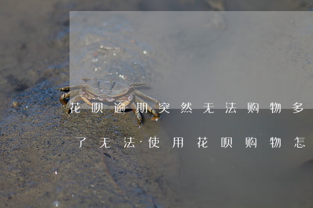 花呗逾期突然无法购物多久恢复-花呗逾期了无法使用花呗购物怎么才能恢复