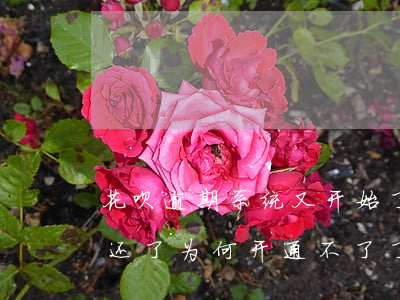 花呗逾期系统又开始了(花呗有过逾期但是都还了为何开通不了了)
