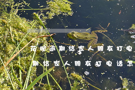 花呗逾期给家人朋友打电话怎么办-花呗逾期给家人朋友打电话怎么办理