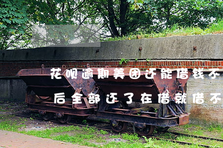 花呗逾期美团还能借钱不(美团借钱逾期几天后全部还了,在借就借不出了)