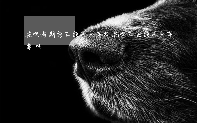 花呗逾期能不能买火车票(花呗不还能买火车票吗)