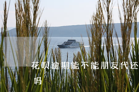 花呗逾期能不能朋友代还(花呗可以代还花呗吗)
