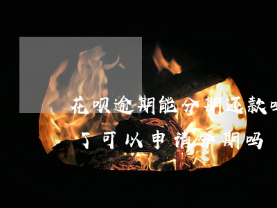 花呗逾期能分期还款吗(支付宝蚂蚁花呗逾期了可以申请分期吗)