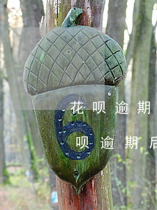 花呗逾期能办信用卡吗现在，解答你的疑问：花呗逾期后是否还能申请信用卡？