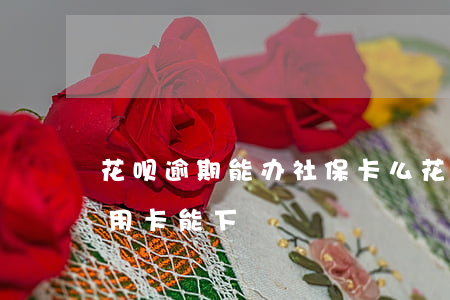 花呗逾期能办社保卡么(花呗逾期办理什么信用卡能下)