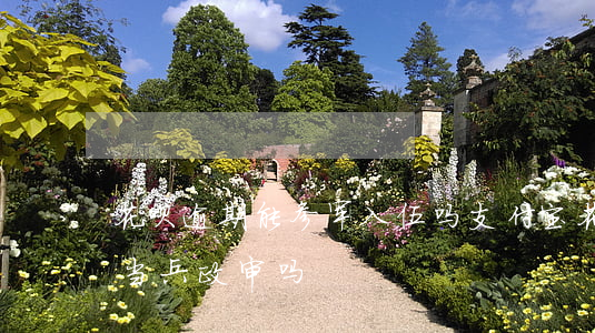 花呗逾期能参军入伍吗(支付宝花呗逾期影响当兵政审吗)