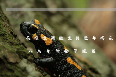 花呗逾期能坐长途车吗(花呗逾期还完了为什么乘车码都不能用)
