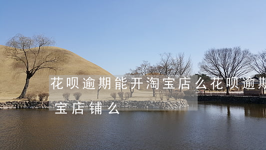 花呗逾期能开淘宝店么(花呗逾期会影响开淘宝店铺么)