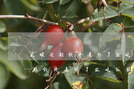 花呗逾期能开通饿了么吃饭额度吗-花呗逾期能开通饿了么吃饭额度吗安全吗