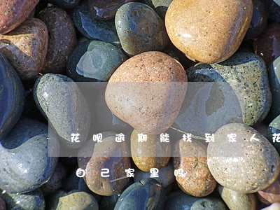 花呗逾期能找到家人(花呗逾期不还款会找到自己家里吗?)