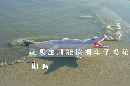 花呗逾期能按揭车子吗(花呗逾期可以汽车分期吗)