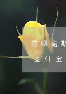 花呗逾期能用信用卡还吗(信用卡逾期会影响支付宝的花呗借呗吗?)
