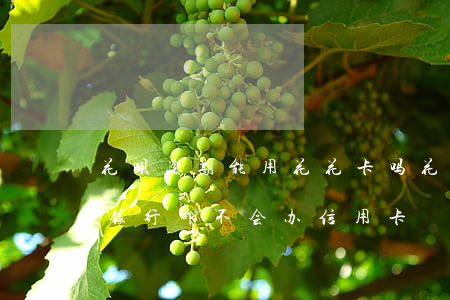 花呗逾期能用花花卡吗(花呗逾期是不是任何银行都不会办信用卡)