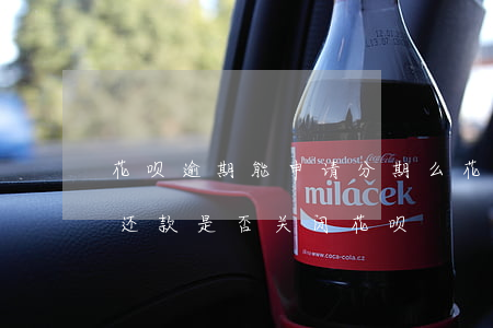 花呗逾期能申请分期么(花呗逾期后不能分期还款是否关闭花呗)