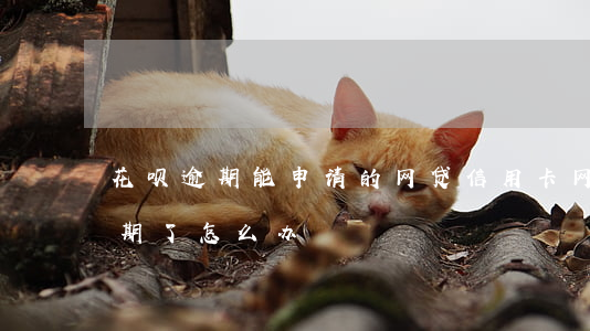 花呗逾期能申请的网贷(信用卡网贷花呗都逾期了怎么办)