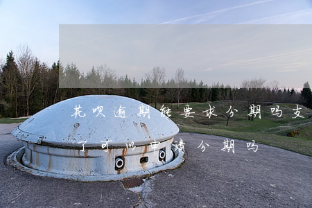 花呗逾期能要求分期吗(支付宝蚂蚁花呗逾期了可以申请分期吗)