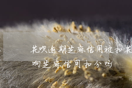 花呗逾期芝麻信用被扣(花呗逾期了三天会影响芝麻信用扣分吗)